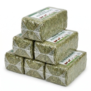 Heno de Alfalfa de Alta Calidad, Alimento para Animales, Heno de Forraje para Ganado Lechero, Caballos, Ovejas, Cabras, Suministro al por Mayor, Exportación - Product Image 1