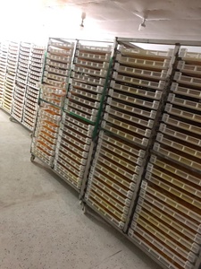 High Quality Soft <b>Dried</b> <b>Mango</b> From Viet Factory Dehyrated <b>Mango</b> Slices with Sugar Content 0 - 5% Wholesale Customized Packing - Product Image 4