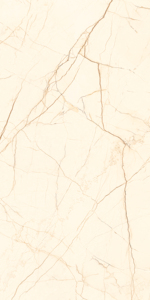 Vente directe d'usine : Carreaux de sol en granit 600 x 1200 mm super polis pour entrée. - Product Image 2