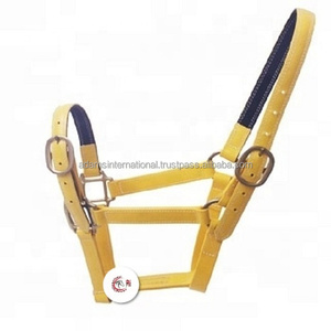 Best Quality Horse PVC <b>Halter</b> With a Soft Padding for Racing Equipment - Product Image 2