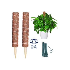 Poteau en fibre de coco naturelle de haute qualité |   Bâtonnets de coco écologiques et durables en gros - Product Image 1