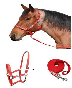 Heavy Duty 2m <b>Lead</b> <b>Ropes</b> for <b>Horses</b> Strong Nylon Material Sturdy Alloy Snap Multiple Colors Safe Clip - Product Image 6