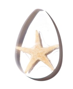 Starfish Real Specimen Plastic Cabochon Pear Cut <b>Top</b> 46x30 mm Clear Flat Bottom for Crafts and Jewelry Making - Product Image 6
