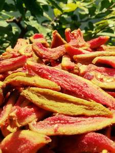 Guayaba Deshidratada en Cubos al por Mayor para Panadería y Mezclas de Frutos Secos - Proveedor de Vietnam - Product Image 6