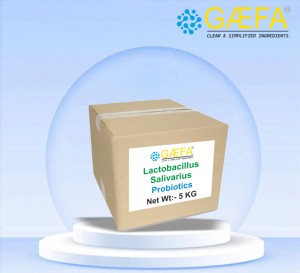 Poudre de probiotiques alimentaires Lactobacillus Salivarius de qualité supérieure - Product Image 2