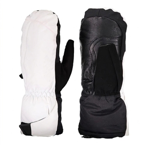 Mitaines de ski d'hiver imperméables, coupe-vent, thermiques, mitaines de neige de haute qualité, gants de ski d'extérieur - Product Image 1