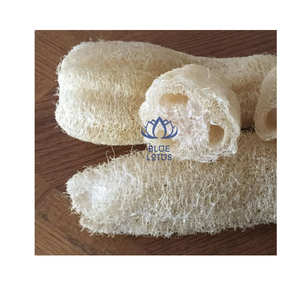 EXPÉDITION LE JOUR MÊME Éponge Loofah Écologique Sûre et Propre 2026 – Éponge Exfoliante Pure et Biologique Idéale pour le Corps et la Cuisine – Vente Directe - Product Image 1