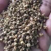 Graines d'épinards hybrides F1 ZA - Haute Rendement, Emballage en Sacs Poly, Durée de Conservation Stable, Usage Agricole, Prix Abordable