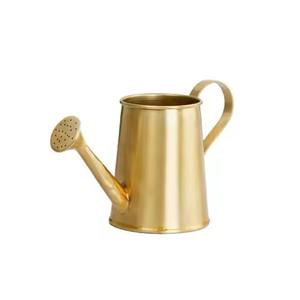 Arrosoir en acier inoxydable, outil d'arrosage durable pour plantes, pour utilisation en jardin - Product Image 5