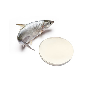 Collagène de poisson de qualité supérieure, peptides, vente en gros, approvisionnement en vrac, export direct d'usine, qualité export. - Product Image 5