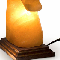 Lampe de table en forme d'animal en sel rose de l'Himalaya naturel, lampe décorative en cristal sculptée à la main pour la décoration de la maison et la méditation