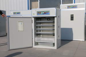 350 Trứng Nhỏ Tự Động Lồng Ấp Trứng Cho Gà Máy Nở - Product Image 2