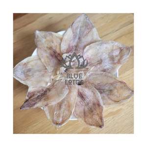 Calamar Seco de Alta Calidad 2026 para Snacks Instantáneos y Servicios de Catering, Puro, Fresco del Océano, Limpio, Seguro, Entero o Desmenuzado en Rollo - Product Image 1