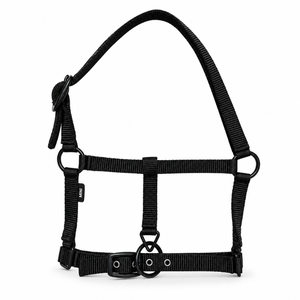Harnais pour cheval en nylon noir côtelé avec muserolle réglable |   Collier équestre avec anneaux métalliques et œillets de boucle renforcés - Product Image 1