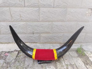 Ensemble de cornes de bœuf montées, écologiques, faites à la main, rustiques, modernes, polies, thème animalier, style western, pour décoration intérieure, Pâques - Product Image 4