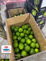 Vietnamese verse groene limoen – pitloos, sappig, exportkwaliteit voor wereldwijde distributie