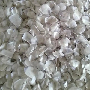 Escamas de Pescado, Oferta Especial, Materia Prima Marina Premium, OEM ODM Vietnam - Product Image 1