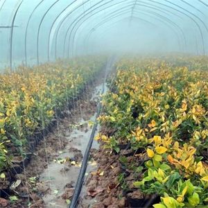 Tuyau d'irrigation résistant aux UV de 32 mm, résistant aux produits chimiques, tuyau plat pour utilisation agricole à long terme, rouleau de 100 mètres - Product Image 5
