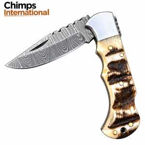 Couteau pliant de chasse en acier de Damas pour l'extérieur, couteau tactique de survie pour le camping, manche en corne de bélier, clip de ceinture, DIY ODM/OEM, lame droite - Product Image 1