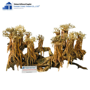 Décoration d'aquarium en bois flotté naturel personnalisée Thanh Tung Thinh, forme irrégulière, durable, écologique, en provenance du Vietnam - Product Image 5