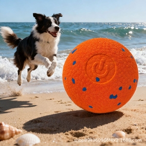 ลูกบอลเด้งดึ๋งเพ็ทสมาร์ท - Product Image 1