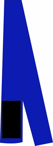 Cinturones de BJJ para Niños de Algodón Bordados con Logotipo Personalizado al por Mayor, Cómodos, de Colores Variados, Gruesos, para Entrenamiento de Artes Marciales - Product Image 4