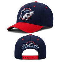Gorra de Béisbol Personalizada con Bordado 3D, Parches Delanteros y Traseros, Ajustable con Cierre a Presión, para Deportes al Aire Libre, Venta al Por Mayor, Personalizable