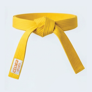 Ceinture de karaté d'arts martiaux de qualité supérieure 2026, la plus vendue, prix de gros - Product Image 1