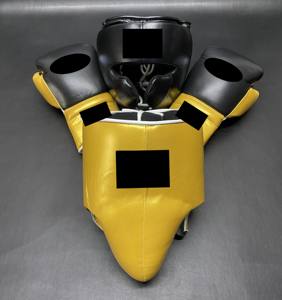 Set de Boxeo Personalizable de Alta Calidad, Protector de Cabeza y Mejillas, Cuero Vacuno 100% Genuino, Acolchado Grueso de 4 Capas, Transpirable - Product Image 1