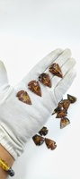 Juego de runas de punta de flecha de obsidiana caoba, cristal Futhark, estilo Feng Shui, grabado, ágata Muntaha, curación, hecho a mano, premium