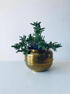 Macetero Metálico para Proyectos de Decoración de Jardines Exteriores, Paisajismo, Terrazas y Patios - Product Image 5