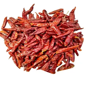 Fresh / Frozen Spicy Chili (Pepper) - Red Hot chili pepper wholesale