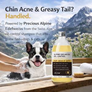 Champú y Jabón Corporal Orgánico Biodegradable y Ecológico para Mascotas, Control de Grasa, Antibacterial, con Edelweiss, para Perros y Gatos, Venta al Por Mayor - Product Image 3