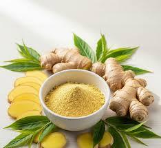 Food Grade Wild <b>Ginger</b> Root Extract <b>Powder</b> 10% Gingerols High Potency Spray Dried Natural Herbal Supplement Bulk Packaging India - Product Image 3