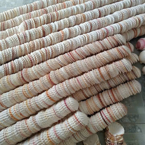 ชุดตกแต่งเปลือกหอยทะเลธรรมชาติจากเวียดนาม ทำมือ เป็นมิตรกับสิ่งแวดล้อม ขายดีที่สุด เหมาะสำหรับงาน DIY ตกแต่งบ้าน ของชำร่วยงานปาร์ตี้ สีฟ้า - Product Image 5