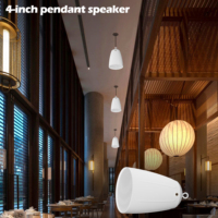 Speaker Gantung 6.5 Inci 100V 8 Ohm dengan Tweeter Sutra yang Dapat Diputar untuk Audio Komersial