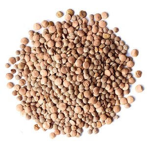 Suministro de Alimentos Naturales a Base de Plantas que Ofrece Lentejas Marrones para Compradores al por Mayor con Empaque de Calidad y Envío Global desde Origen - Product Image 1