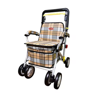 Déambulateur pratique de classe II RT-1803 pour personnes âgées, support de canne argenté, réglage en 3 étapes - Product Image 1