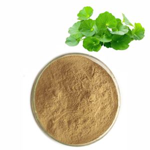 ผงใบบราห์มี OEM ODM 100% สำหรับการเจริญเติบโตของเส้นผม 100% จากธรรมชาติ ไม่มีสารกันบูด ช่วยลดการหลุดร่วงของเส้นผมและกระตุ้นการเจริญเติบโตของเส้นผม - Product Image 5