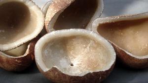 COPRA DE COCO SECA DE EXCELENTE CALIDAD EN SACOS DE 50 KG - Product Image 1