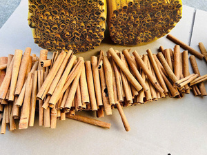 Varillas de Pimienta de Vietnam, Naturales, Sin OMG, Secas, Crudas, Calidad de Exportación para Alimentos y Bebidas - Product Image 4