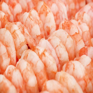 Camarones Congelados de Primera Calidad, Suministro al por Mayor, Listos para Enviar, Grado Alimenticio, Exportación Global - Product Image 4