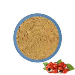 Extracto de Guaraná Premium en Polvo 10:1, Extracto Natural de Semilla de Paullinia Cupana para Productos Herbales, Nutracéuticos, Energéticos y Alimentos Funcionales - Product Image 1