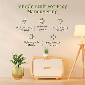 กระถางต้นไม้ทองเหลืองตกแต่งสไตล์โมเดิร์นสำหรับตกแต่งภายในและภายนอกอาคารจากผู้ผลิตในอินเดียสำหรับการส่งออกจำนวนมาก - Product Image 6