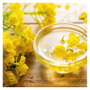 น้ำมันคาโนลาบริสุทธิ์สูง สำหรับการซื้อจำนวนมาก คุณภาพส่งออก เหมาะสำหรับผู้ซื้อและผู้นำเข้าทั่วโลก - Product Image 5