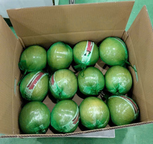 Pomelo/Pomelo Amarillo Fresco Orgánico de Vietnam con Sabor Dulce, Alta Calidad, 20cm, 1kg - Product Image 1