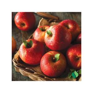 Fresh Red Apples High Quality Crisp Juicy Sweet Fruit for Wholesale Retail and Export Buyers Ocean Link Exim - Product Image 1