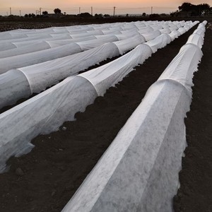 Rouleau de tissu non tissé blanc agrotextile coupe-vent anti-UV léger pour la couverture des cultures en serre agricole - Product Image 1