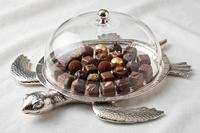Présentoir à Gâteau en Bois Décoratif Tortue Marine avec Cloche en Verre Transparent et Base Métallique Unique en Forme d'Animal pour Pâtisserie
