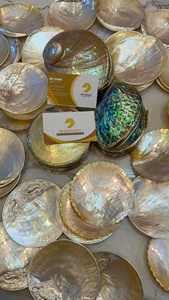 Assiette décorative artisanale en coquillage pour une présentation de table de luxe - Product Image 6